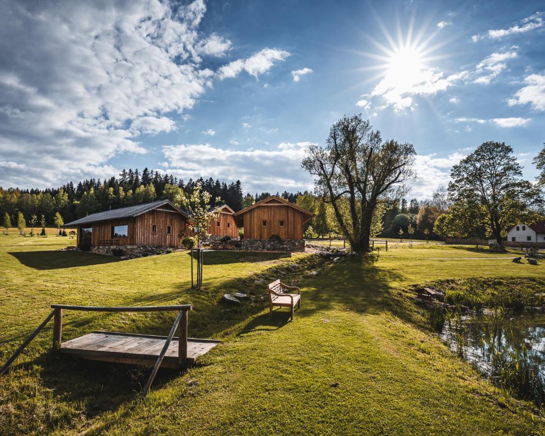 Aparthotel & Wellness Knizeci Cesta Horní Planá Exterior foto