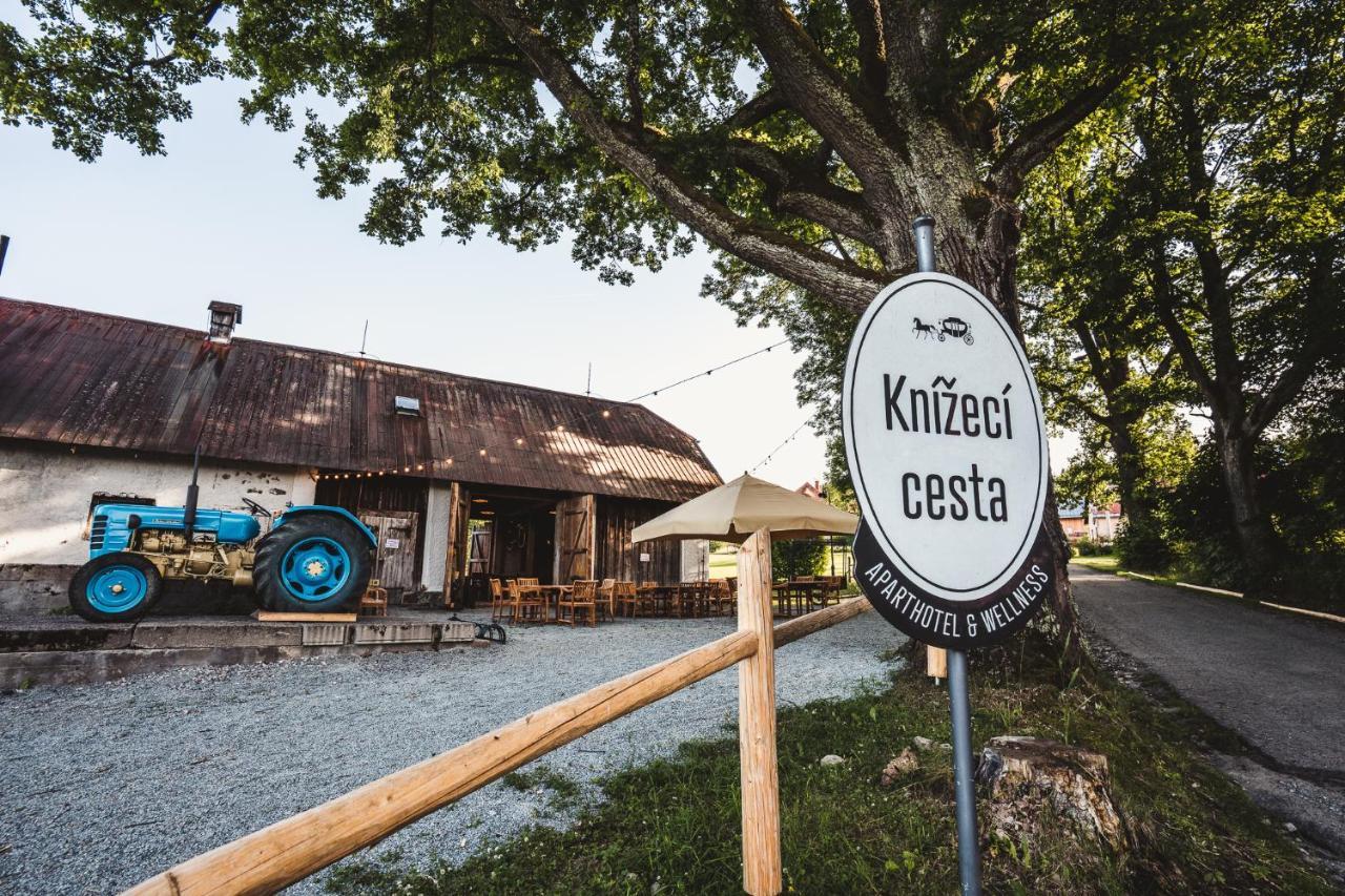 Aparthotel & Wellness Knizeci Cesta Horní Planá Exterior foto